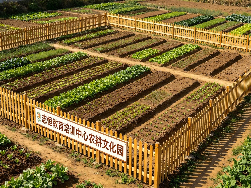 2026甄选唐山优秀的叛逆小孩管教学校口碑推荐